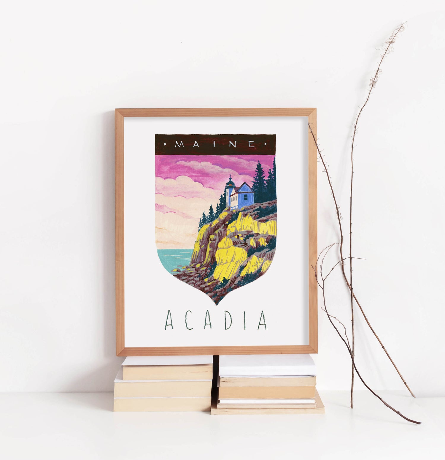 Acadia National Park Art Print