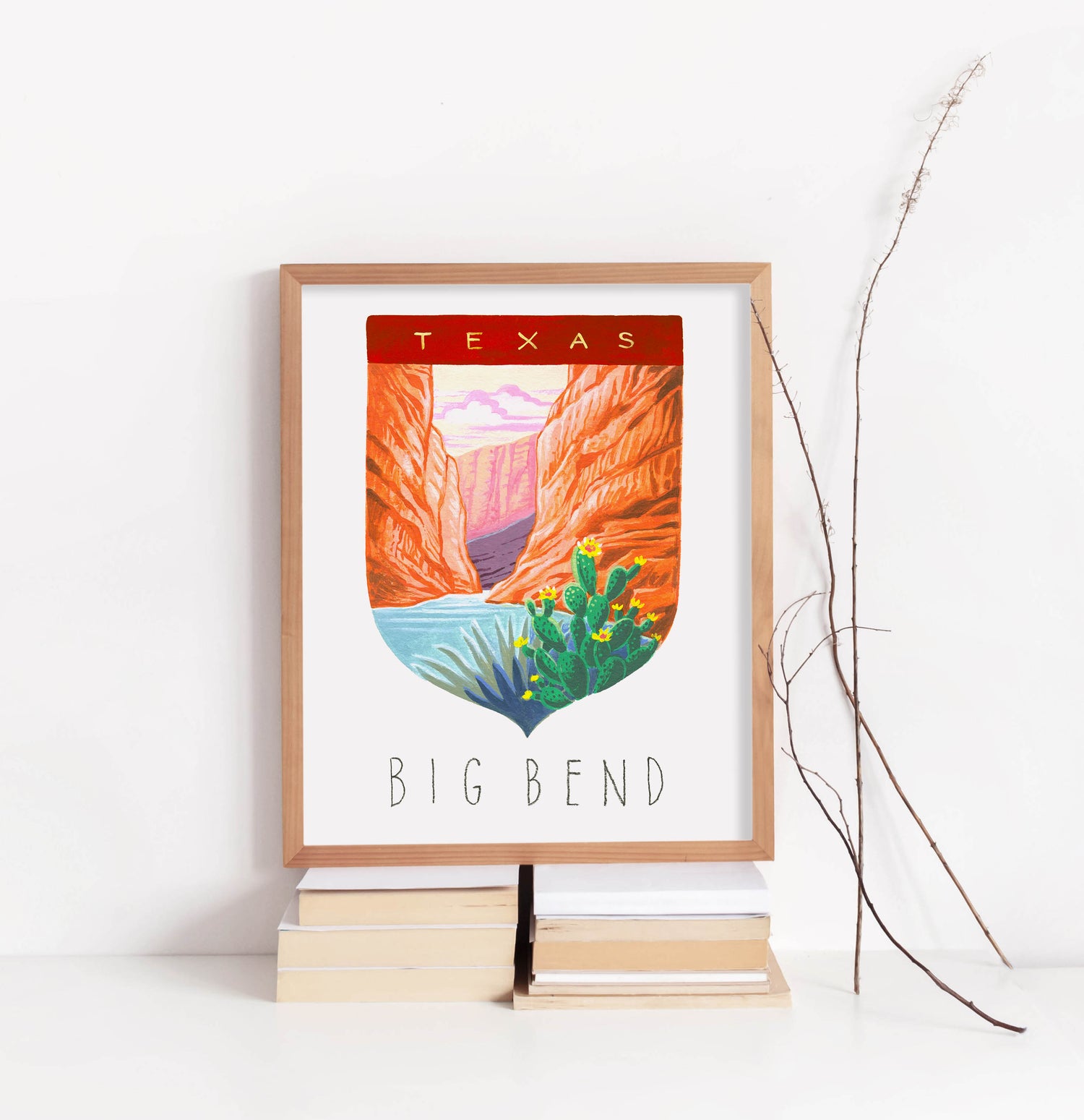 Big Bend National Park Art Print
