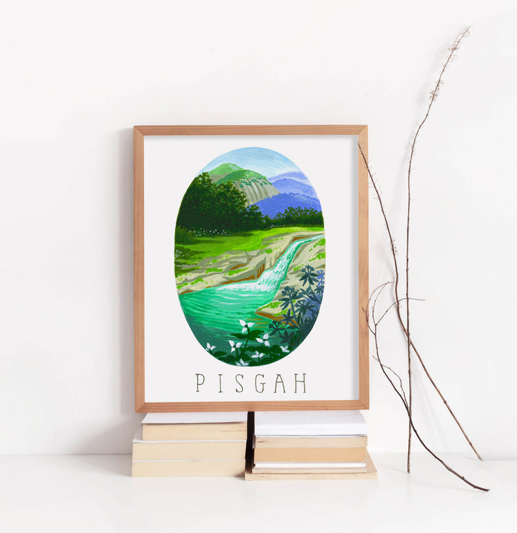 Pisgah National Park Art Print