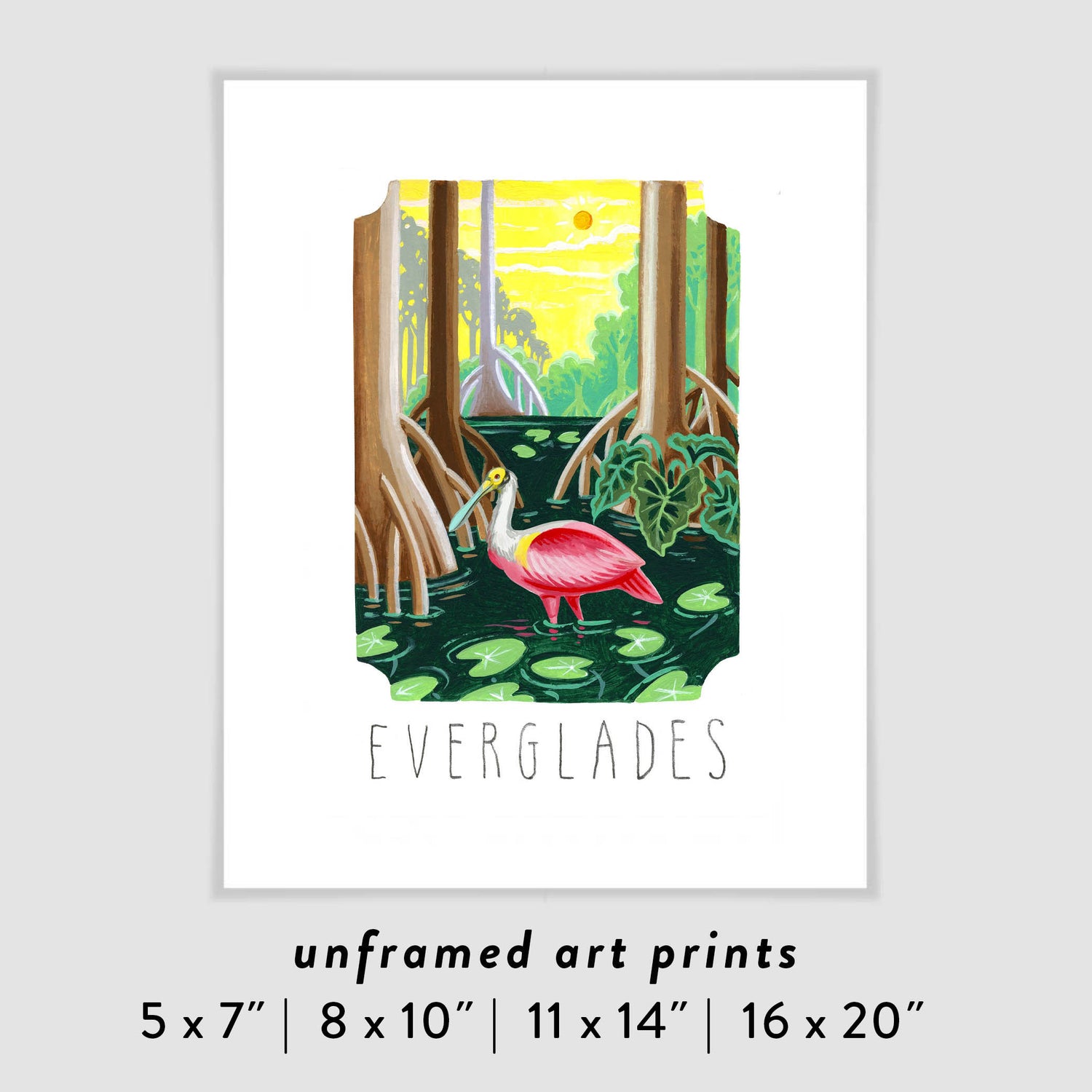Everglades National Park art Poster