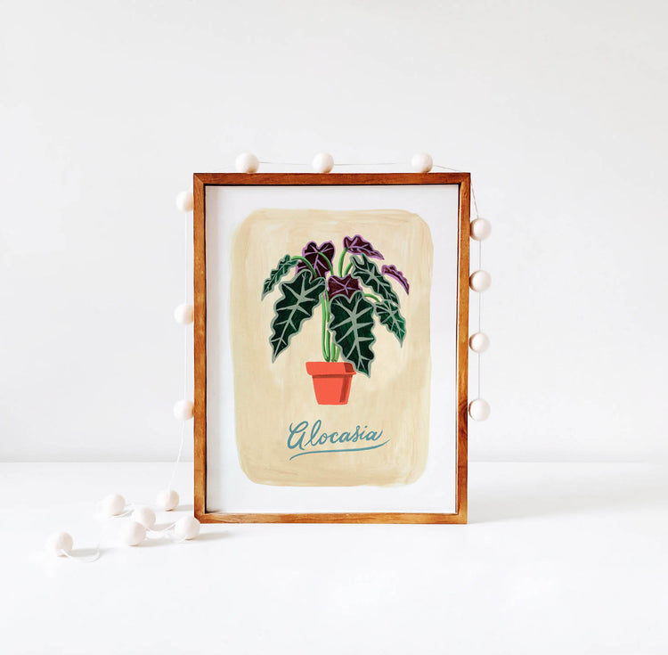 Alocasia plant illustration in wood frame