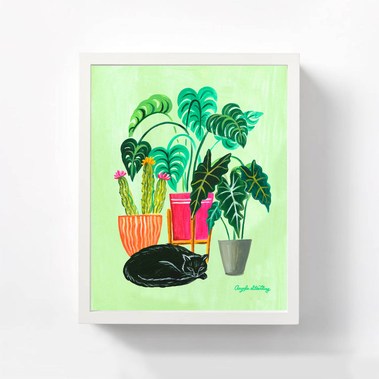 Black cat and three houseplants illustration