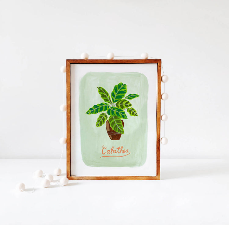Calathea Plant illustration in wood frame