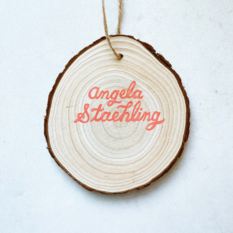 Two Hanging Plants on Aqua | Original Painted Ornament