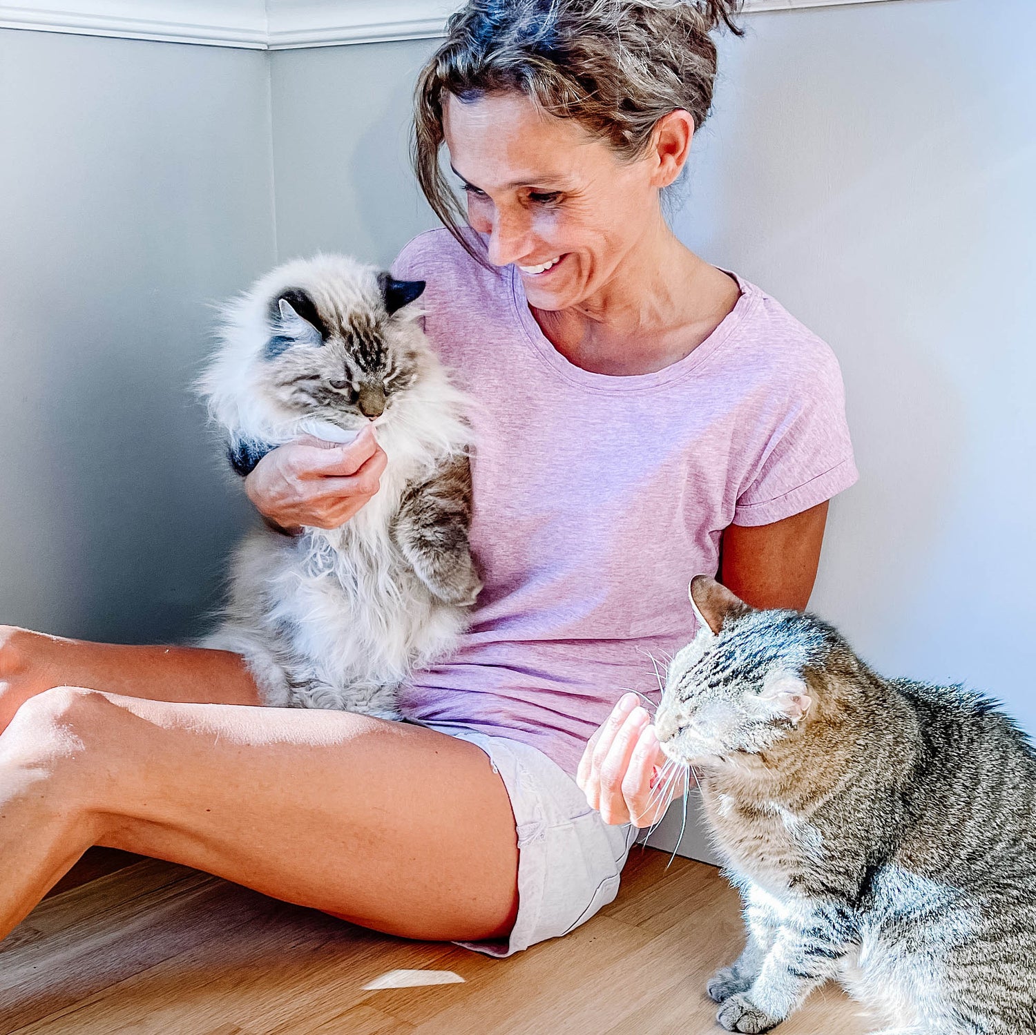 angela-staehling-petting-cats
