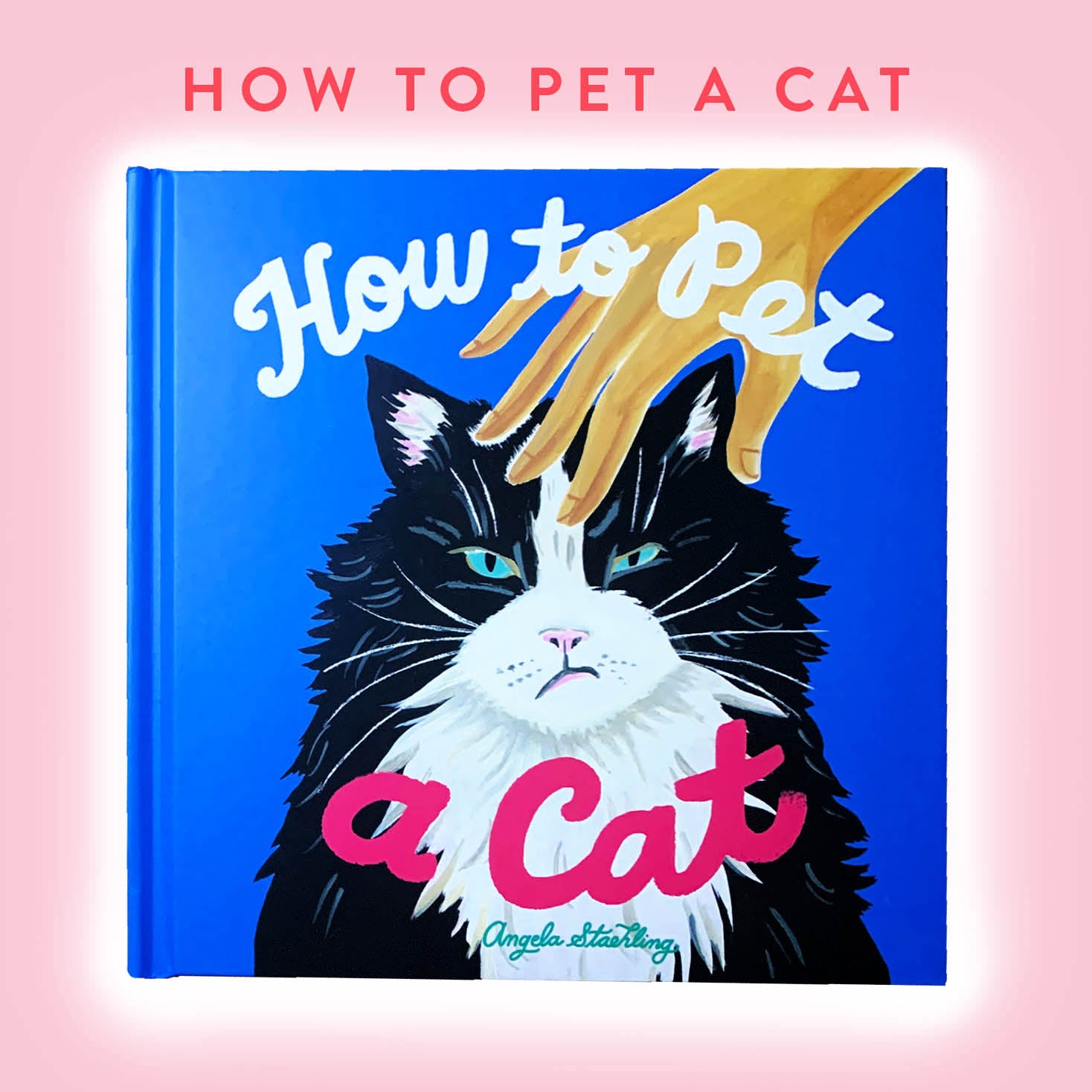 How to Pet a Cat book written and illustrated by Angela Staehling