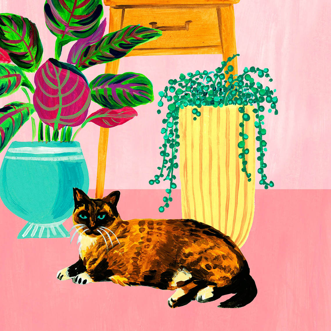 Siamese Cat with houseplants colorful wall art print detail