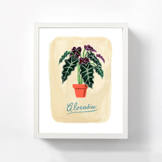 Alocasia plant print illustration in white frame