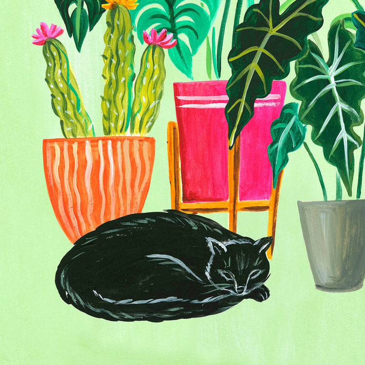 Detail of black cat and plants illustration