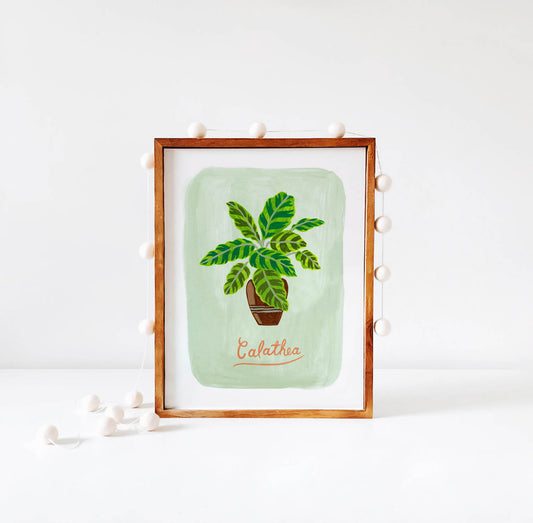 Calathea Plant illustration in wood frame