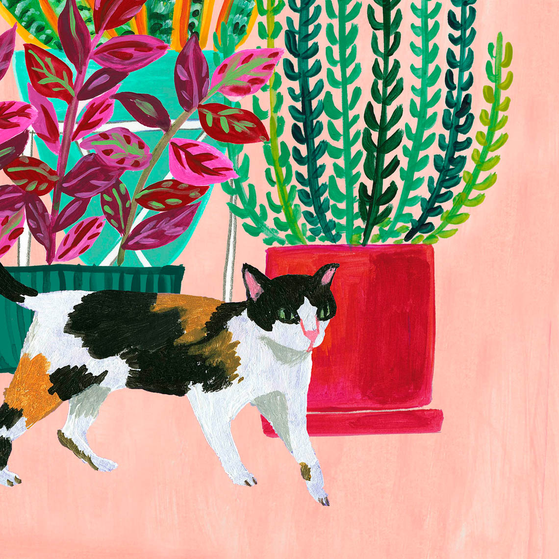 Detail of calico cat and houseplant illustration