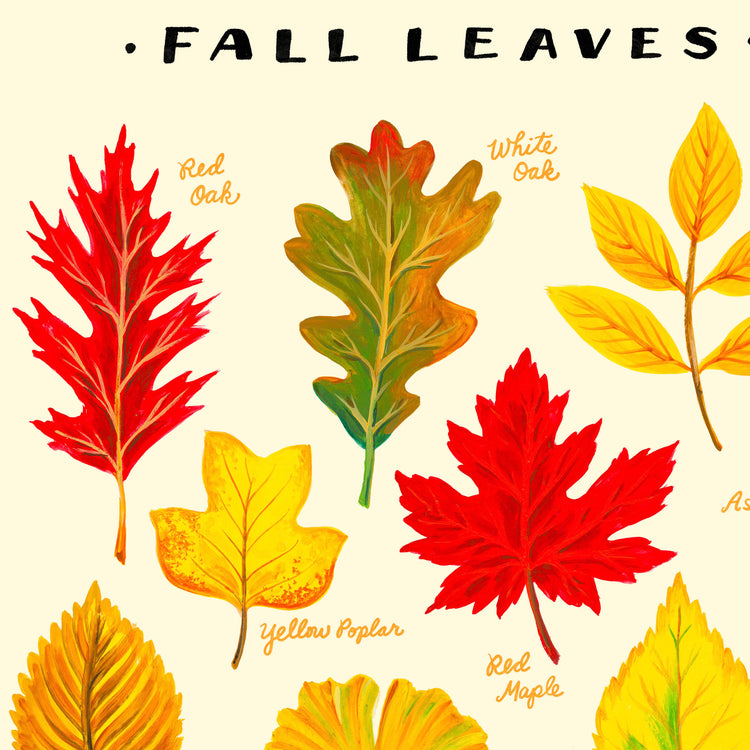 Colorful fall leaves illustration detail