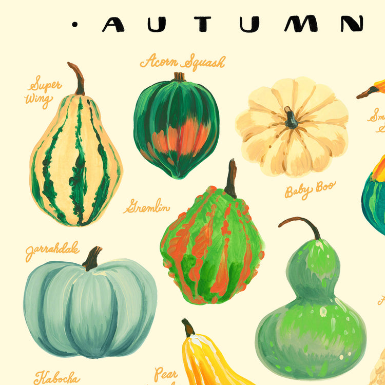 Detail of harvest gourds illustration