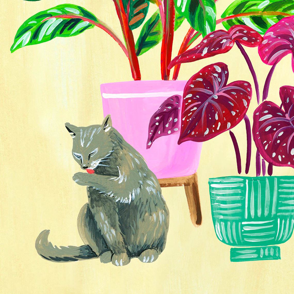 Gray cat and houseplant illustration detail