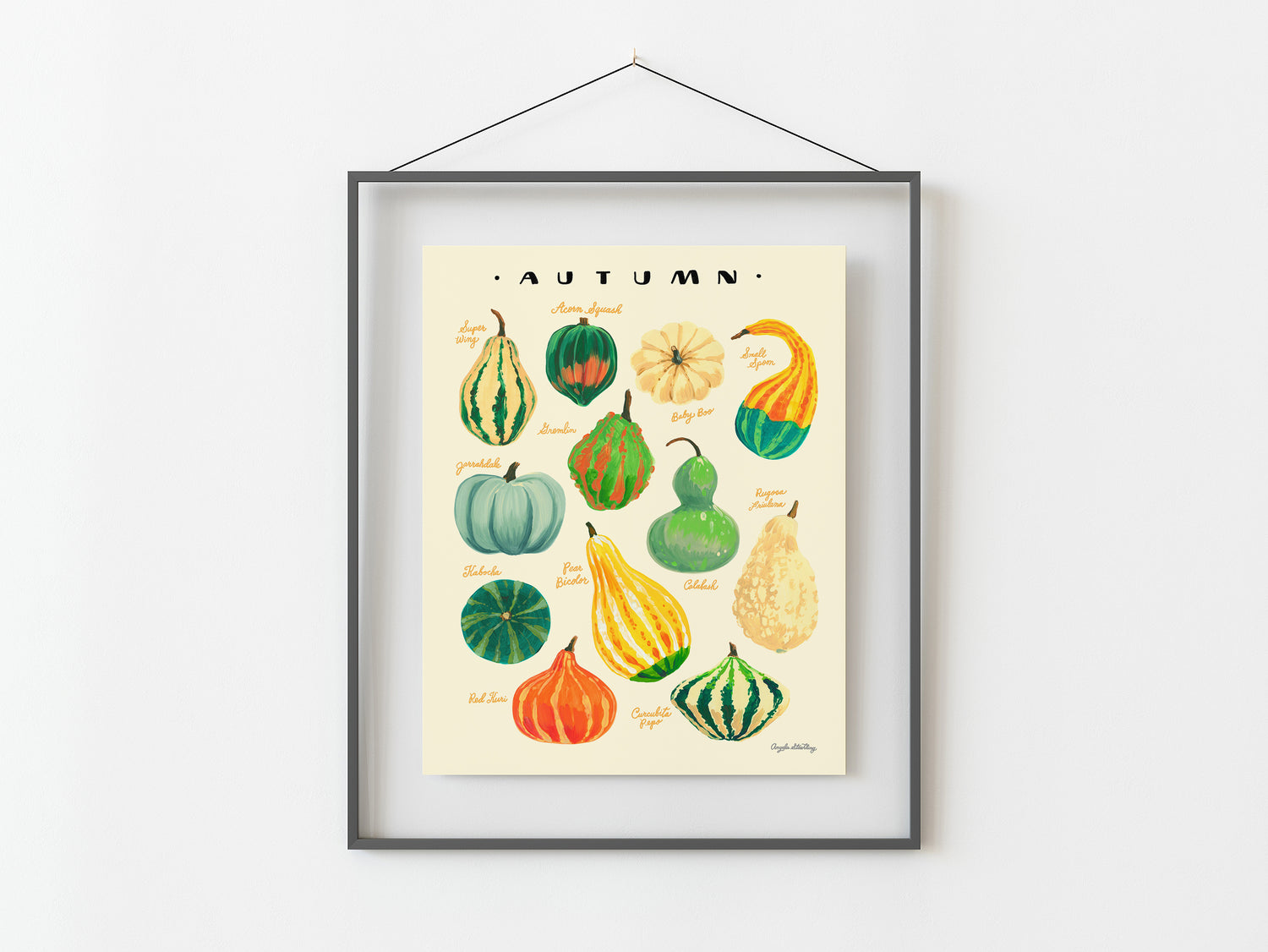 Harvest gourds illustration in gray frame