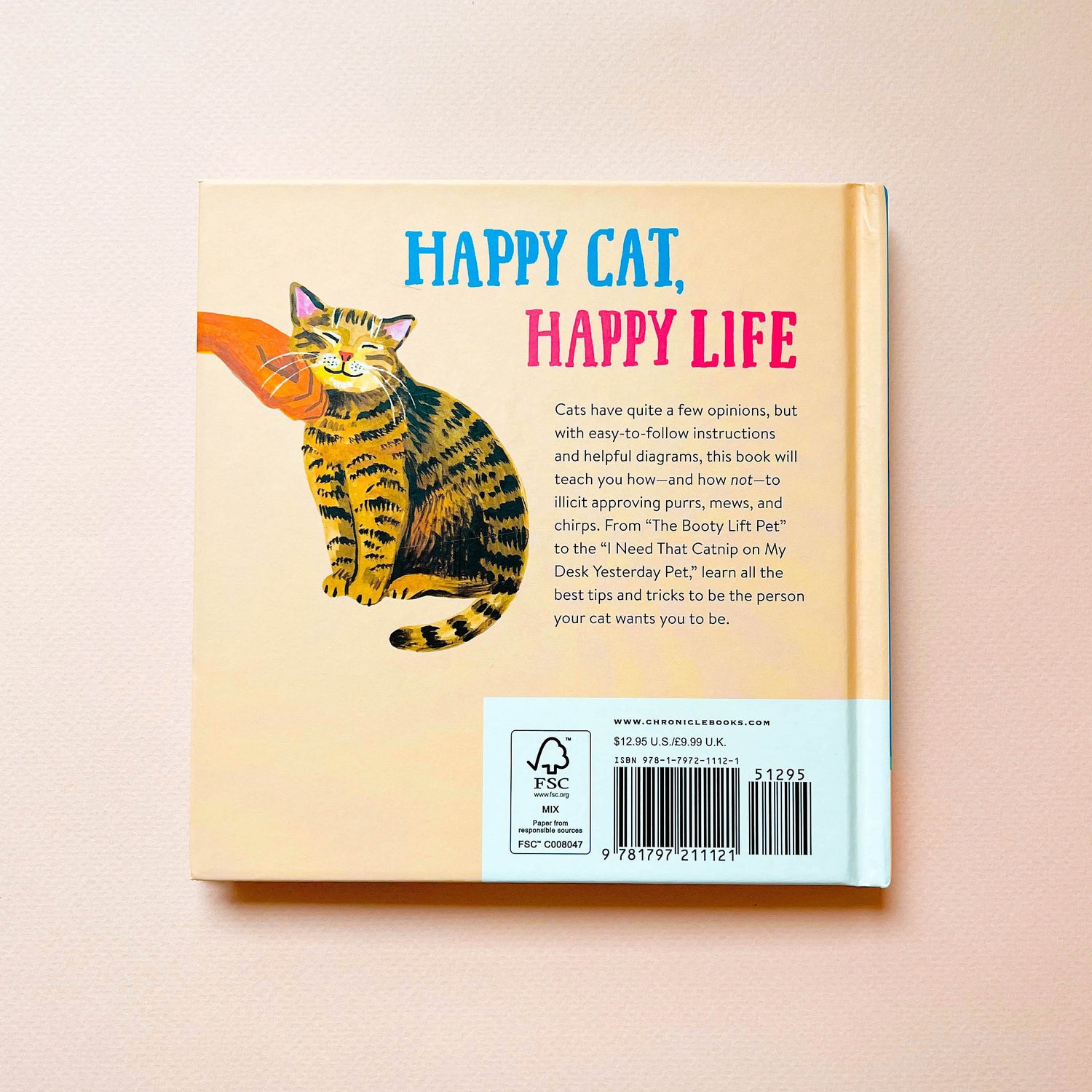 How to Pet a Cat Book – Angela Staehling
