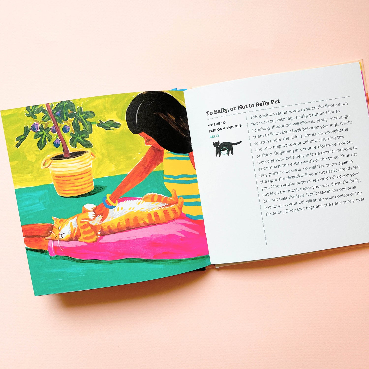 How To Pet A Cat book with woman petting the belly of a cat