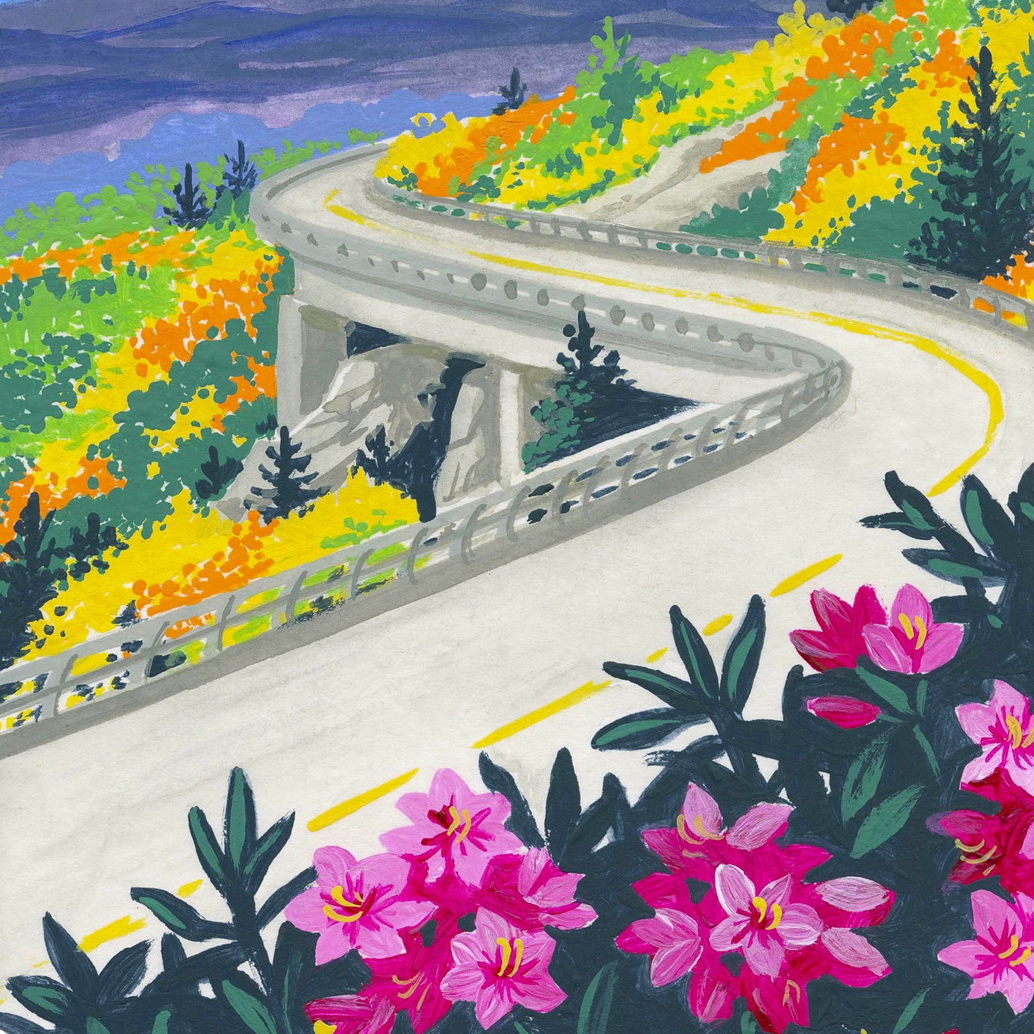Blue Ridge Parkway National Park art detail with Blue Ridge Mountains , Appalachian Mountains, and rhododendron flowers; trendy illustration by Angela Staehling