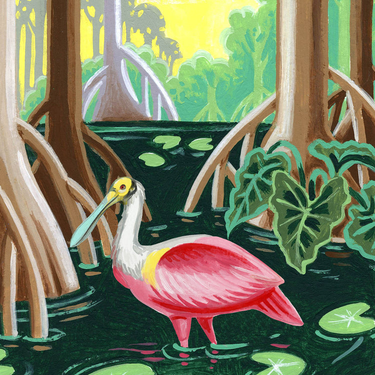Everglades National Park art detail with Roseate Spoonbill, lily pads, and mangrove trees; trendy illustration by Angela Staehling