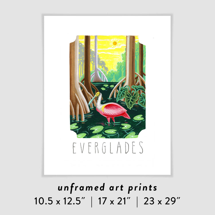 Everglades National Park art print with Roseate Spoonbill, lily pads, and mangrove trees; trendy illustration by Angela Staehling