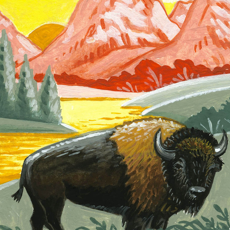 Colorful Jackson Hole Wyoming illustration detail with bison and mountains; artwork by Angela Staehling