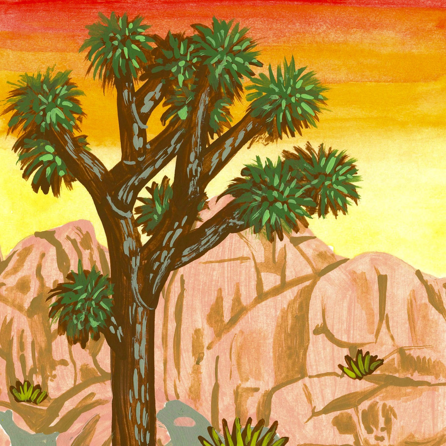Joshua Tree National Park art detail with Coachella Valley, Mojave Desert, rock formations, and cactus garden; trendy illustration by Angela Staehling