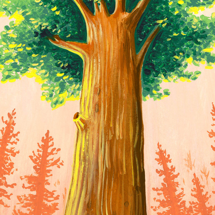 Kings Canyon National Park art detail with General Grant tree and giant California redwood trees; trendy illustration by Angela Staehling