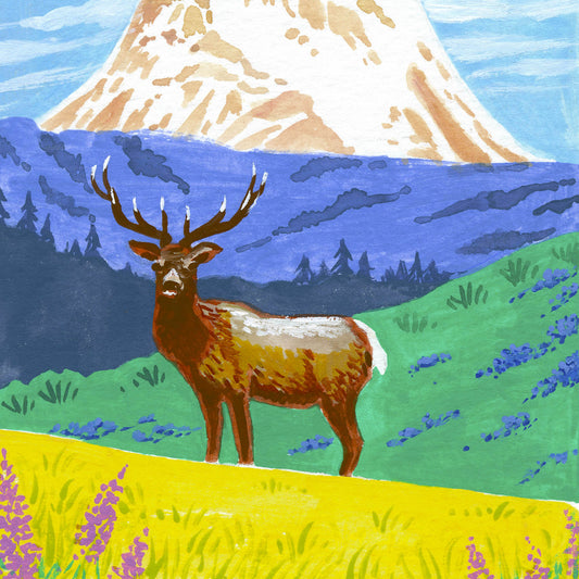 Mount Rainier National Park art detail with wildflowers, elk, mountains, and forest; trendy illustration by Angela Staehling