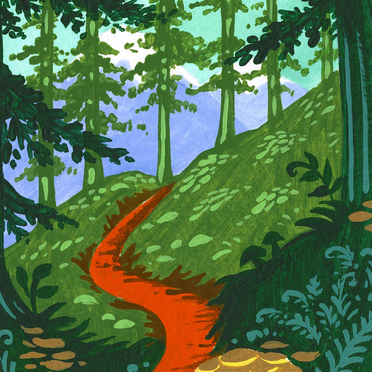 Olympic National Park art detail with Olympic Mountains, forests, and hiking trail; trendy illustration by Angela Staehling