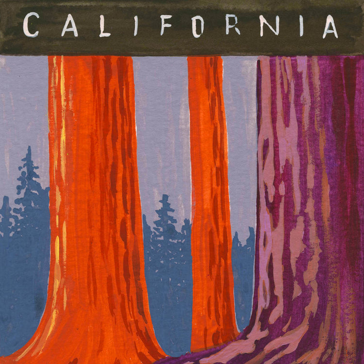 Sequoia National Park art detail with giant California sequoia trees; trendy illustration by Angela Staehling